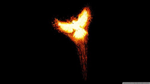 phoenix-bird_00448993